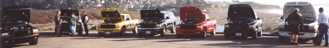 peaking at tony's quick d